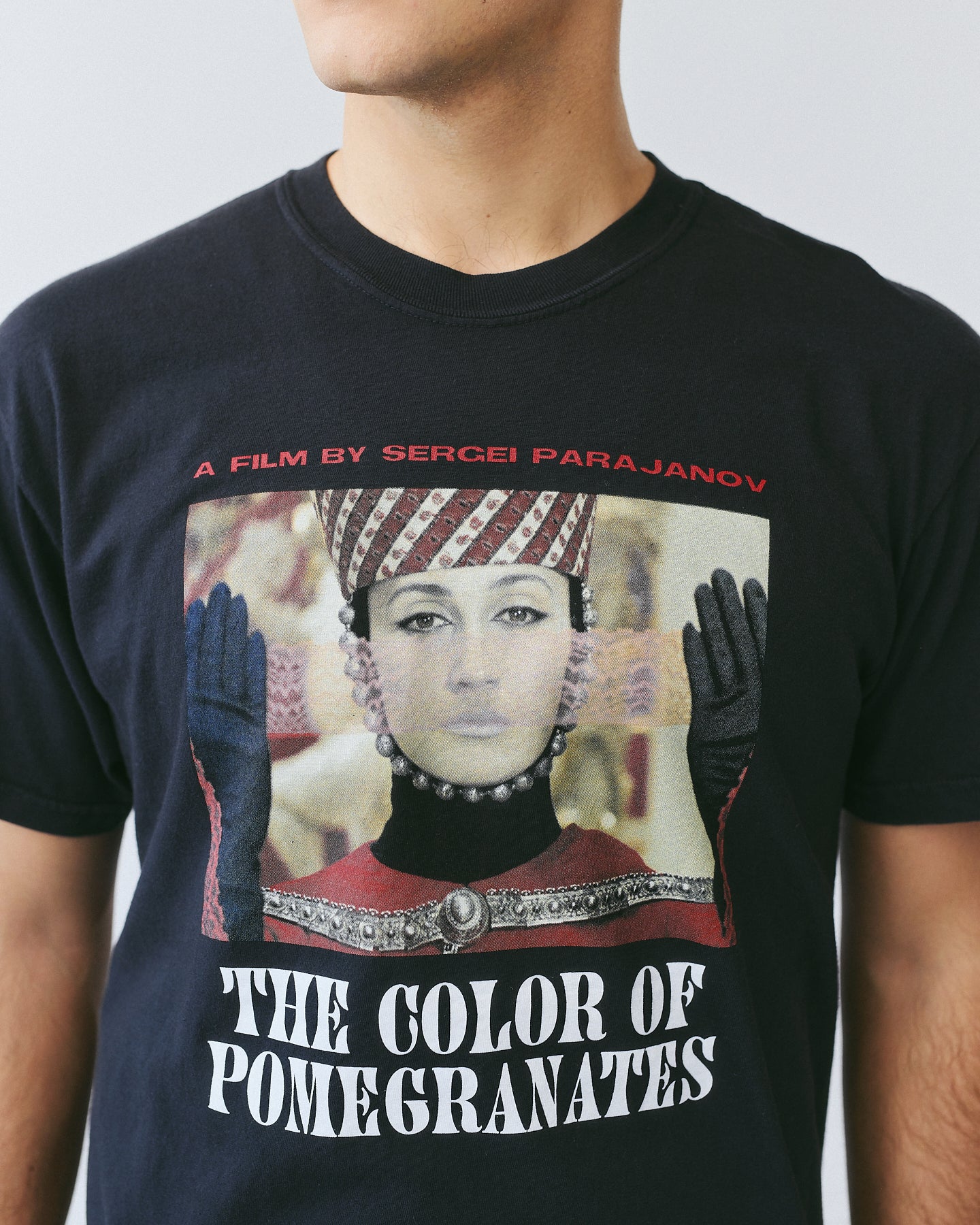 Color of Pomegranates Vintage-Feel T-Shirt