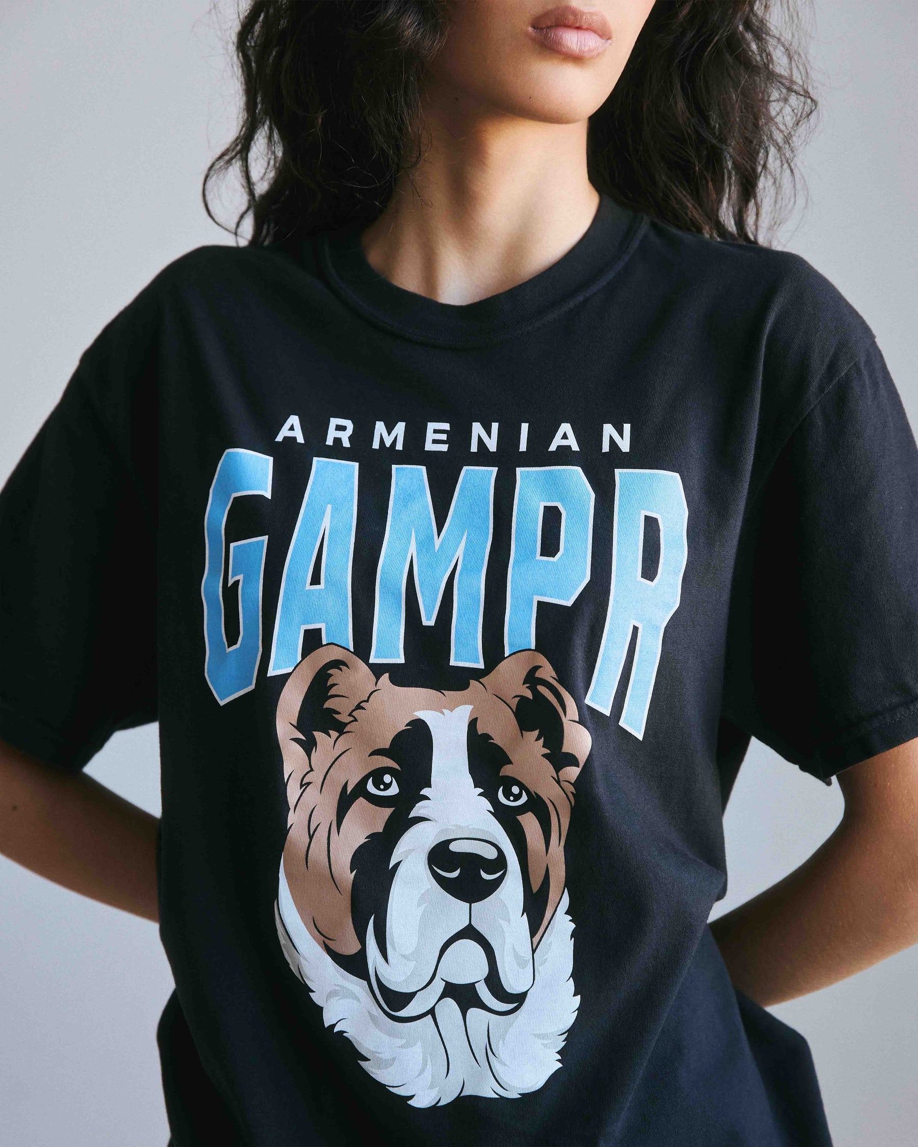 Armenian Gampr Dog Vintage T-Shirt