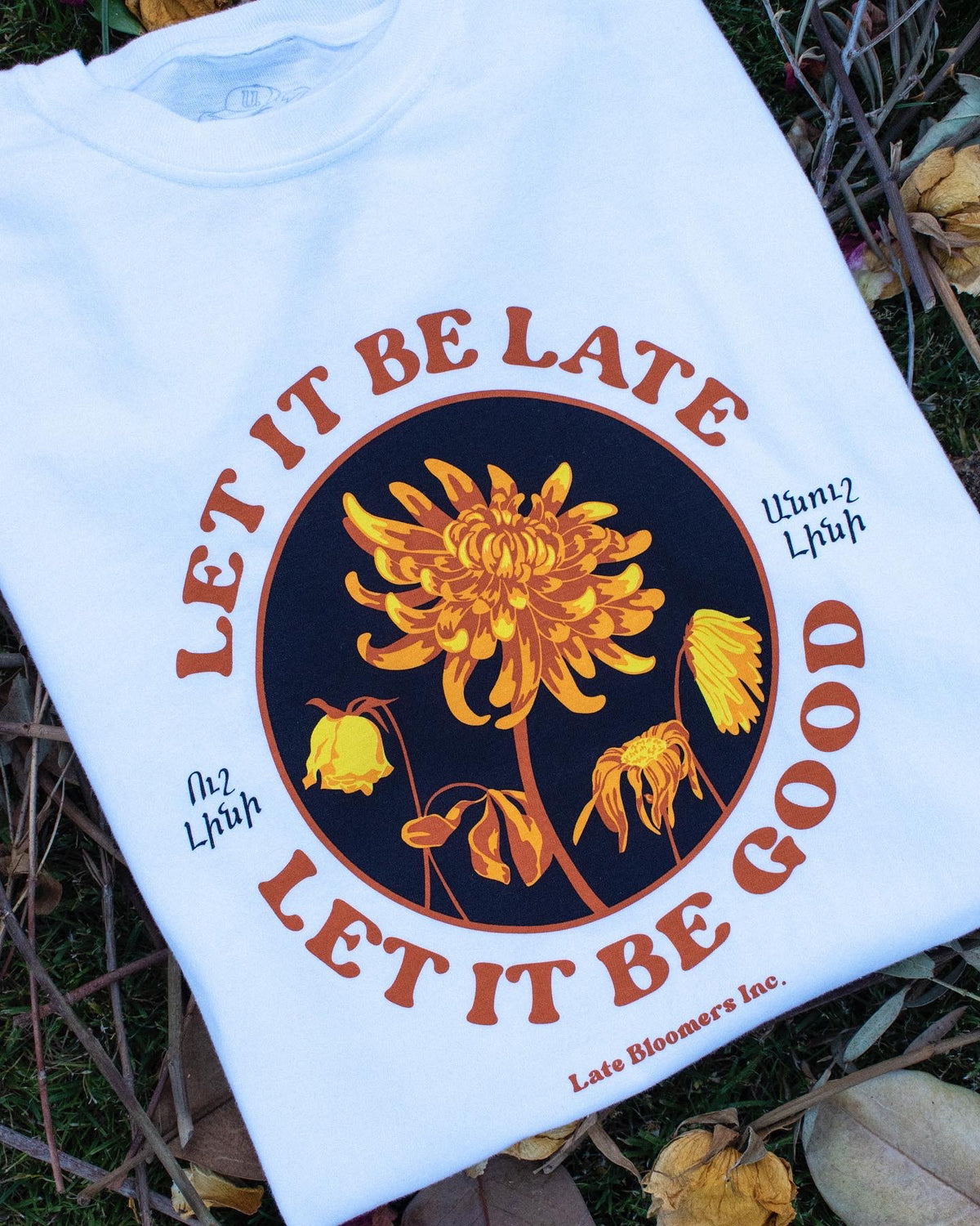 🚨ONLY ONE🚨 Let it be Late Armenian Proverb Vintage T-Shirt - MEDIUM