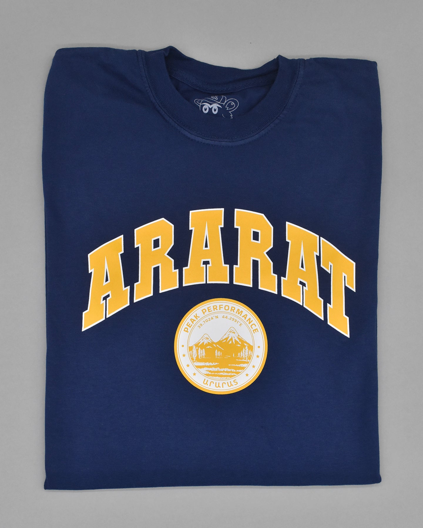 Ararat Varsity Peak Performance Vintage T-Shirt