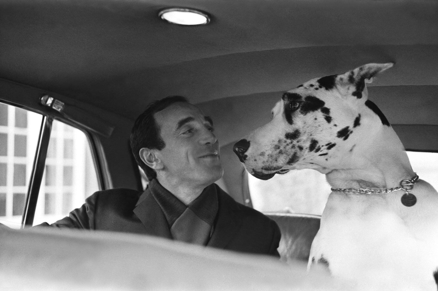 J'aime Kez - Charles Aznavour's Good Boy Gallery