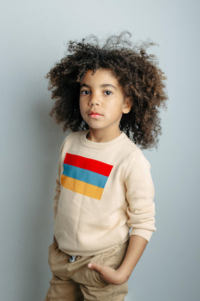 Toddler Knitted Armenia Flag Sweater (Beige)