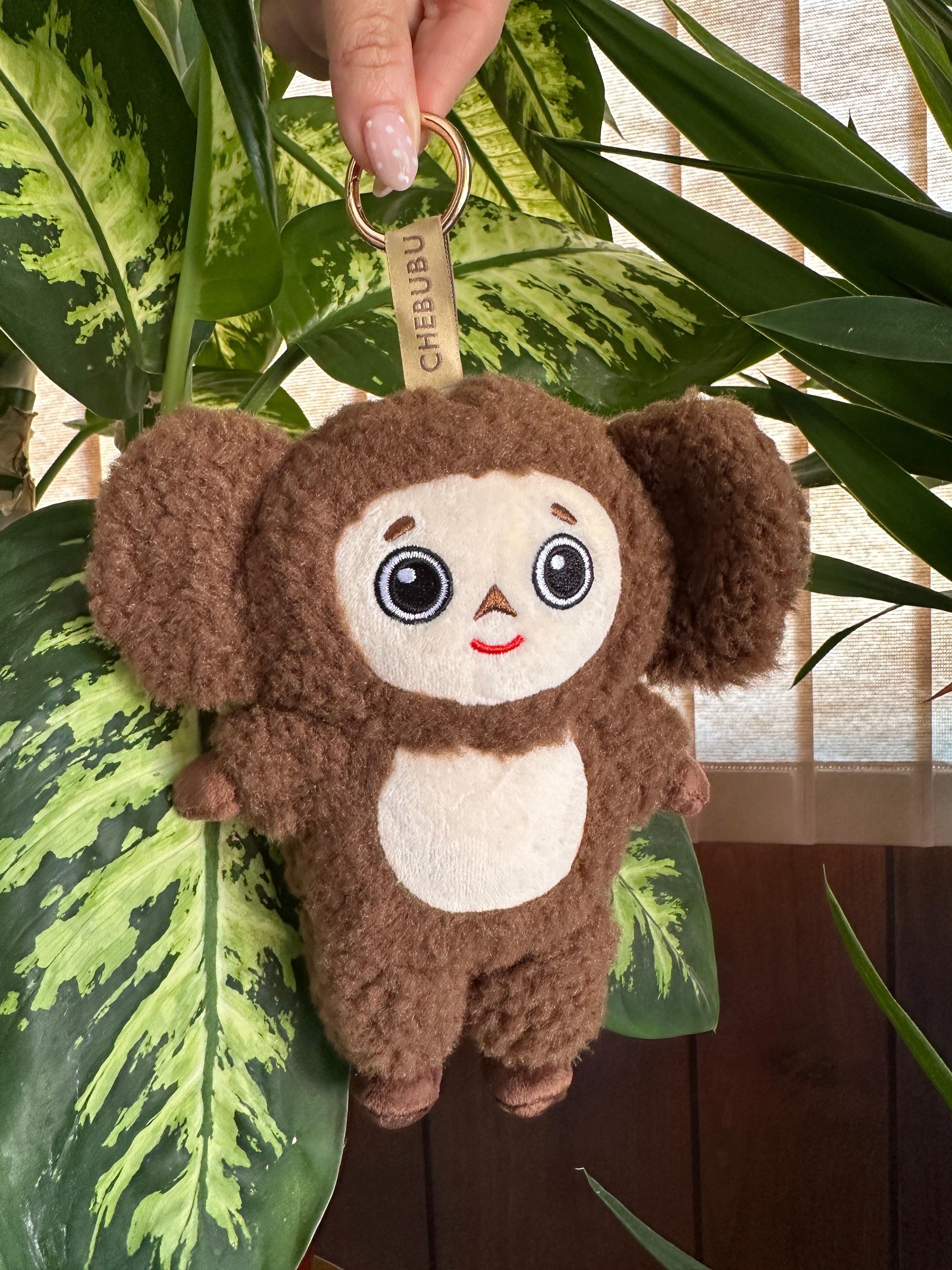 Limited Edition Chebubu