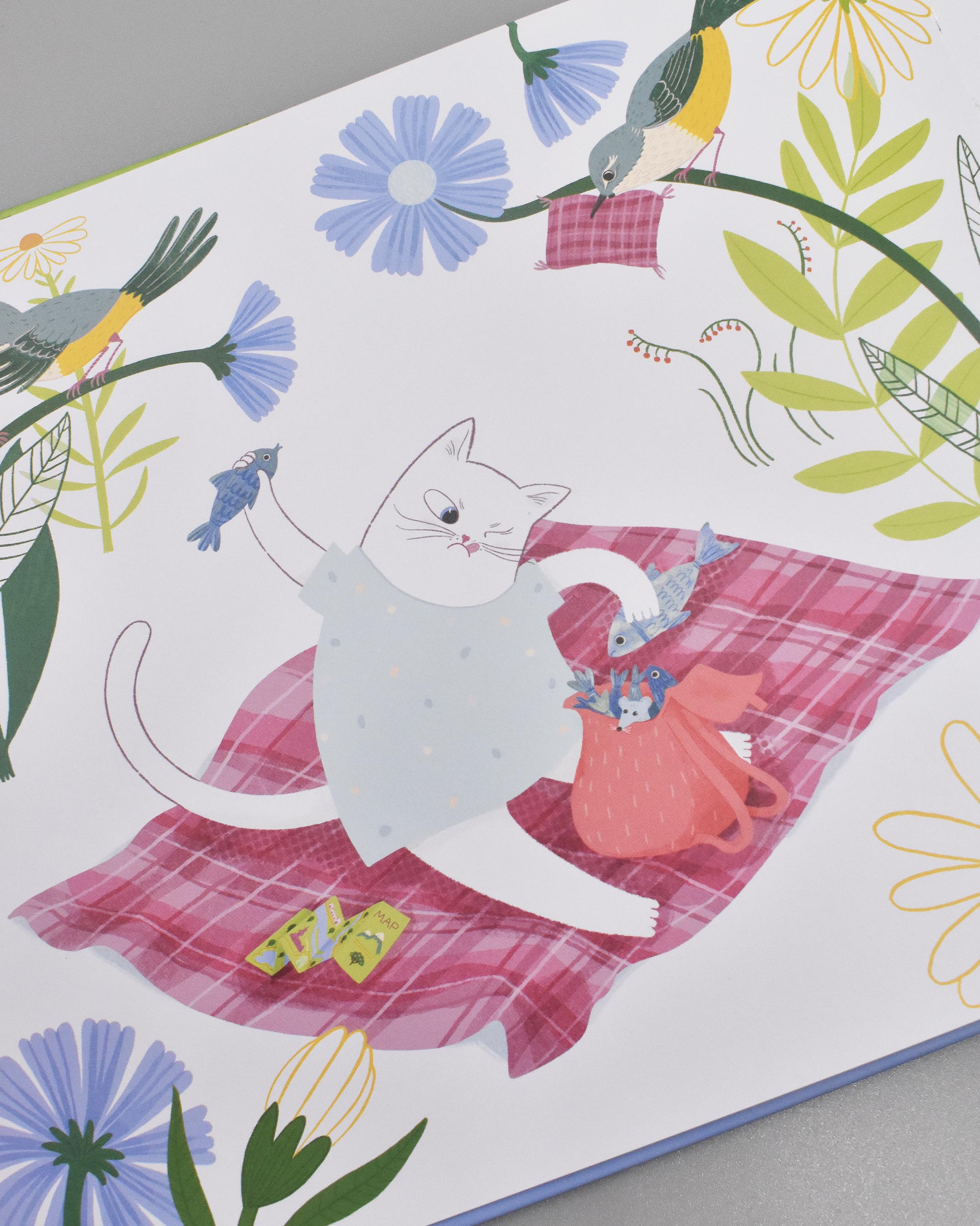 Vana the Cat Book (Age 3 up) and Plush Toy