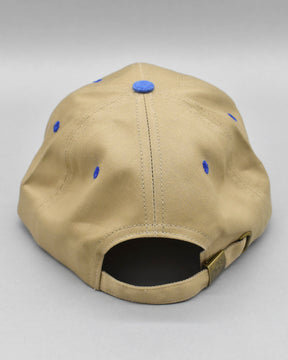 Ararat Island Summer Retro Dad Cap