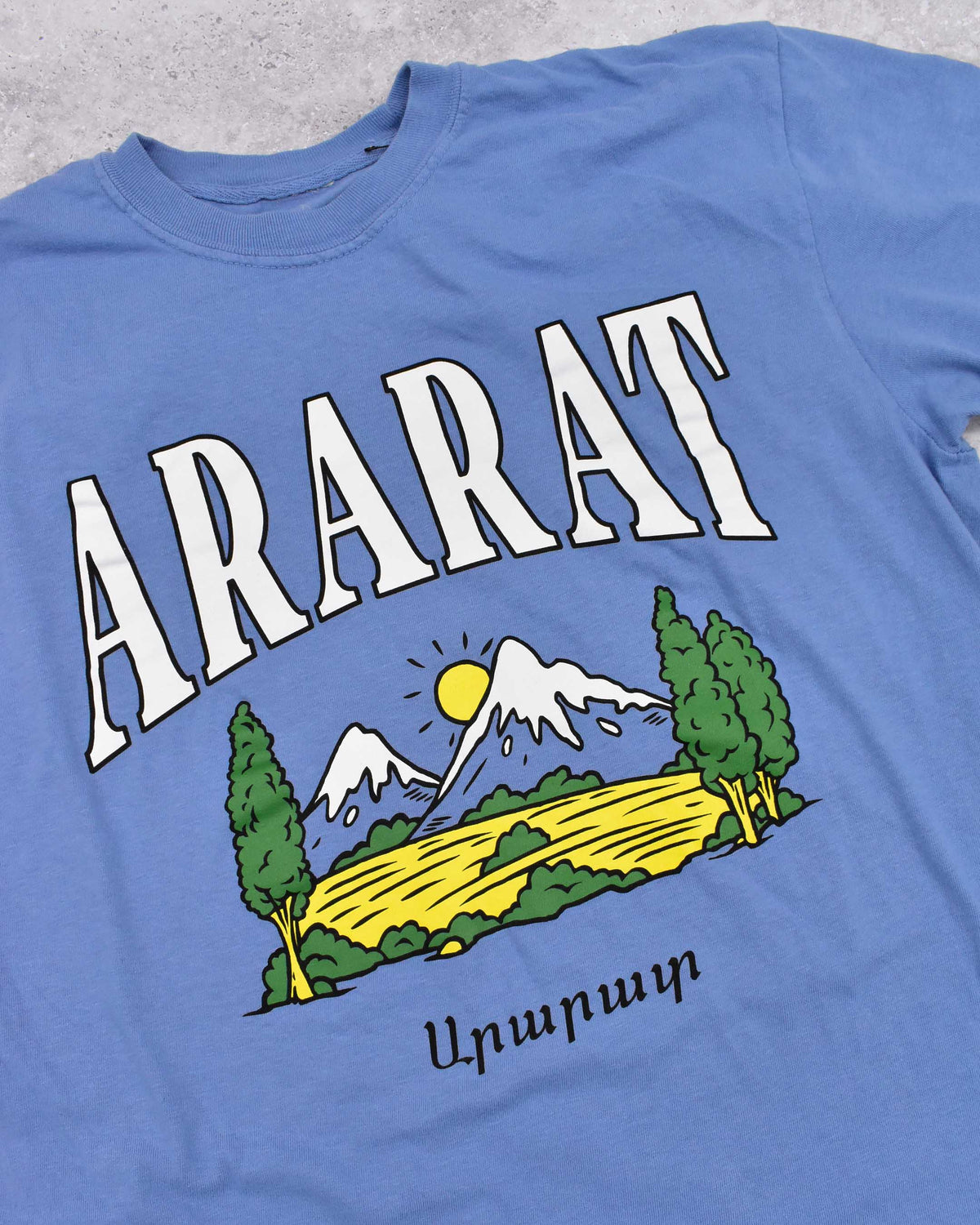 🚨ONLY ONE🚨 Mount Ararat Vintage Feel T-Shirt - LARGE